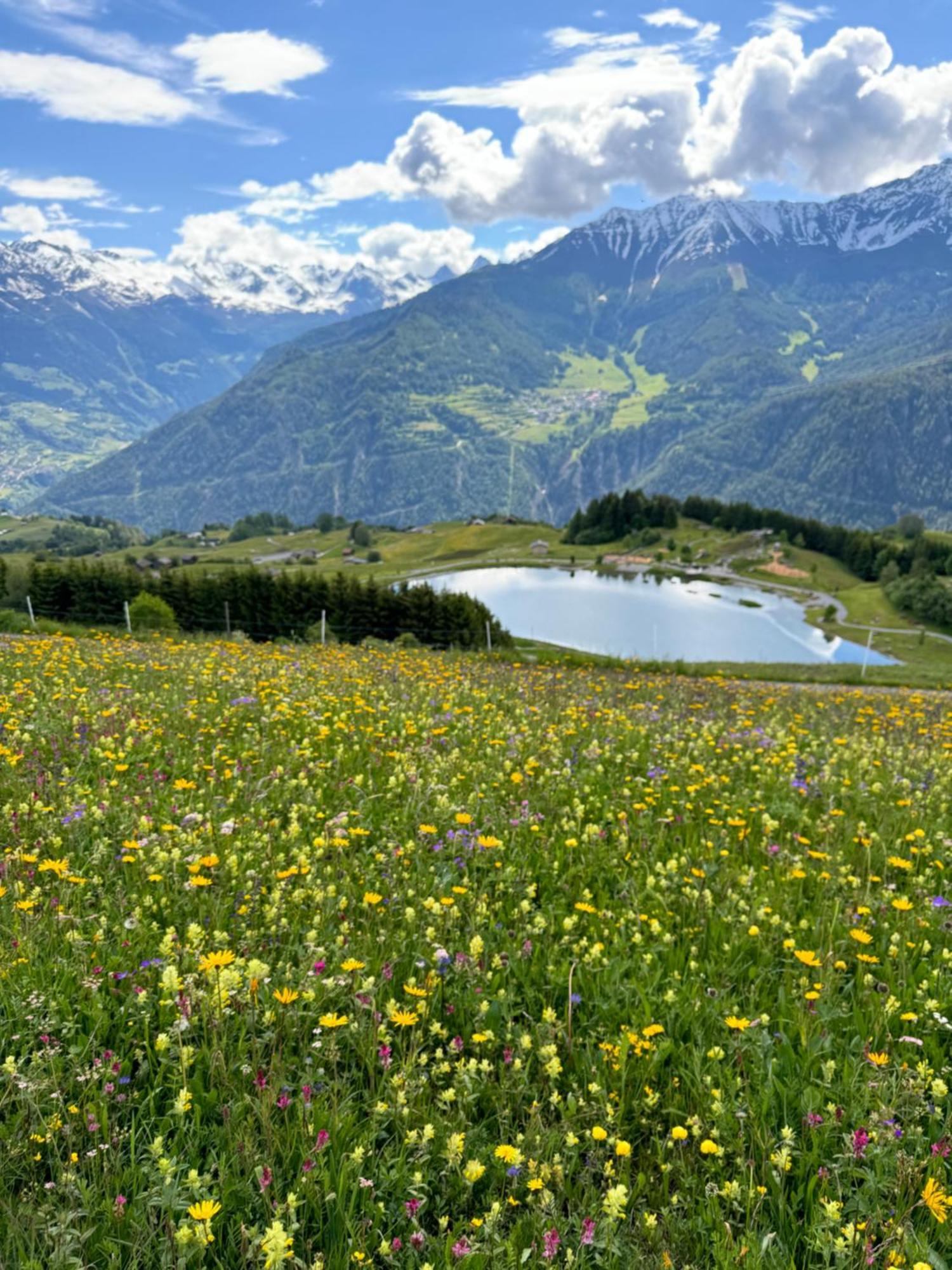 Martinshof Ladis Inklusive Super Sommercard Sommerseilbahnticket Buitenkant foto